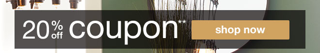 20% off coupon**