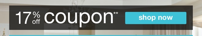17% off Coupon**