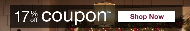 17% off Coupon*