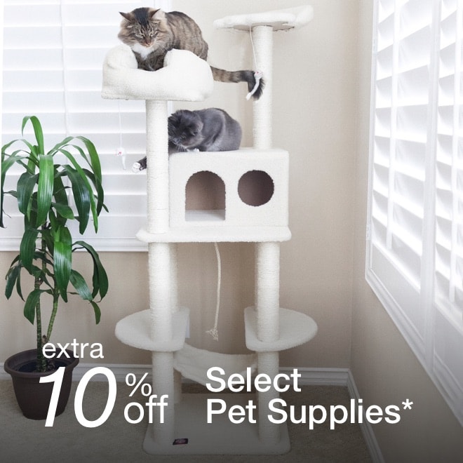 Cyber Monday Online Deals 2020