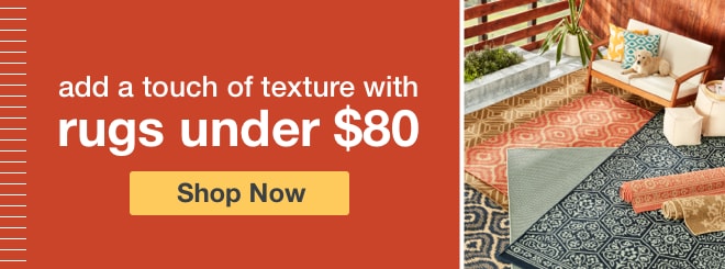 Rugs under $80