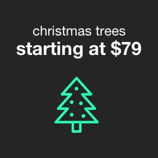 Christmas Trees Starting at $79