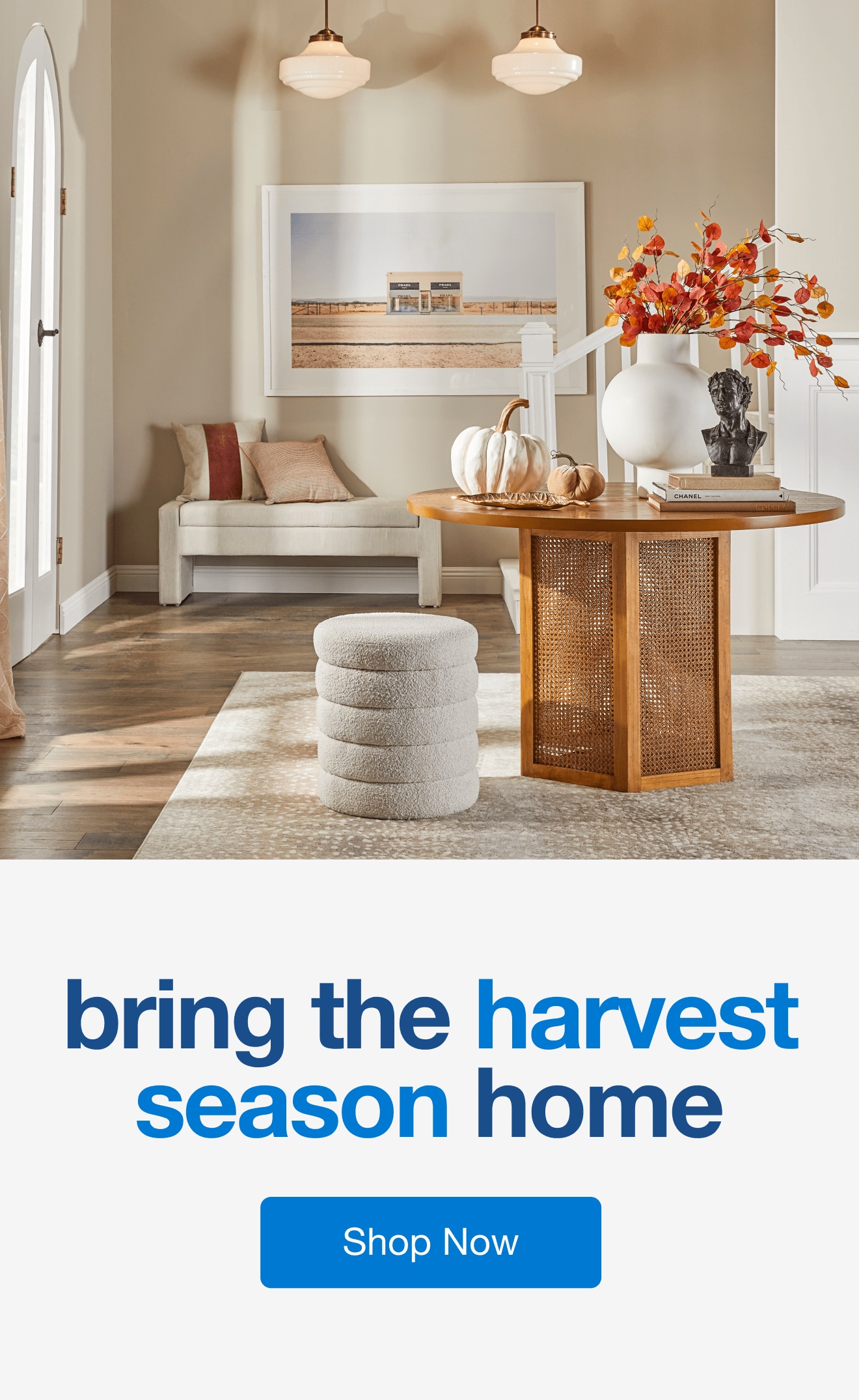 Deals on Seasonal Fall! Shop now!