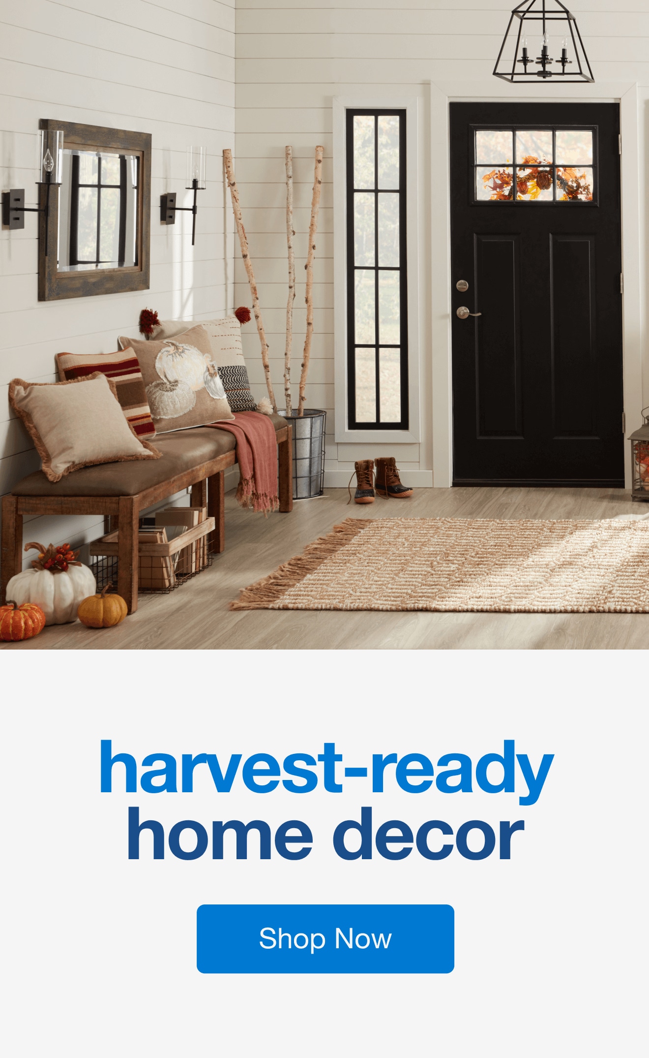 Fall Décor — Shop Now!