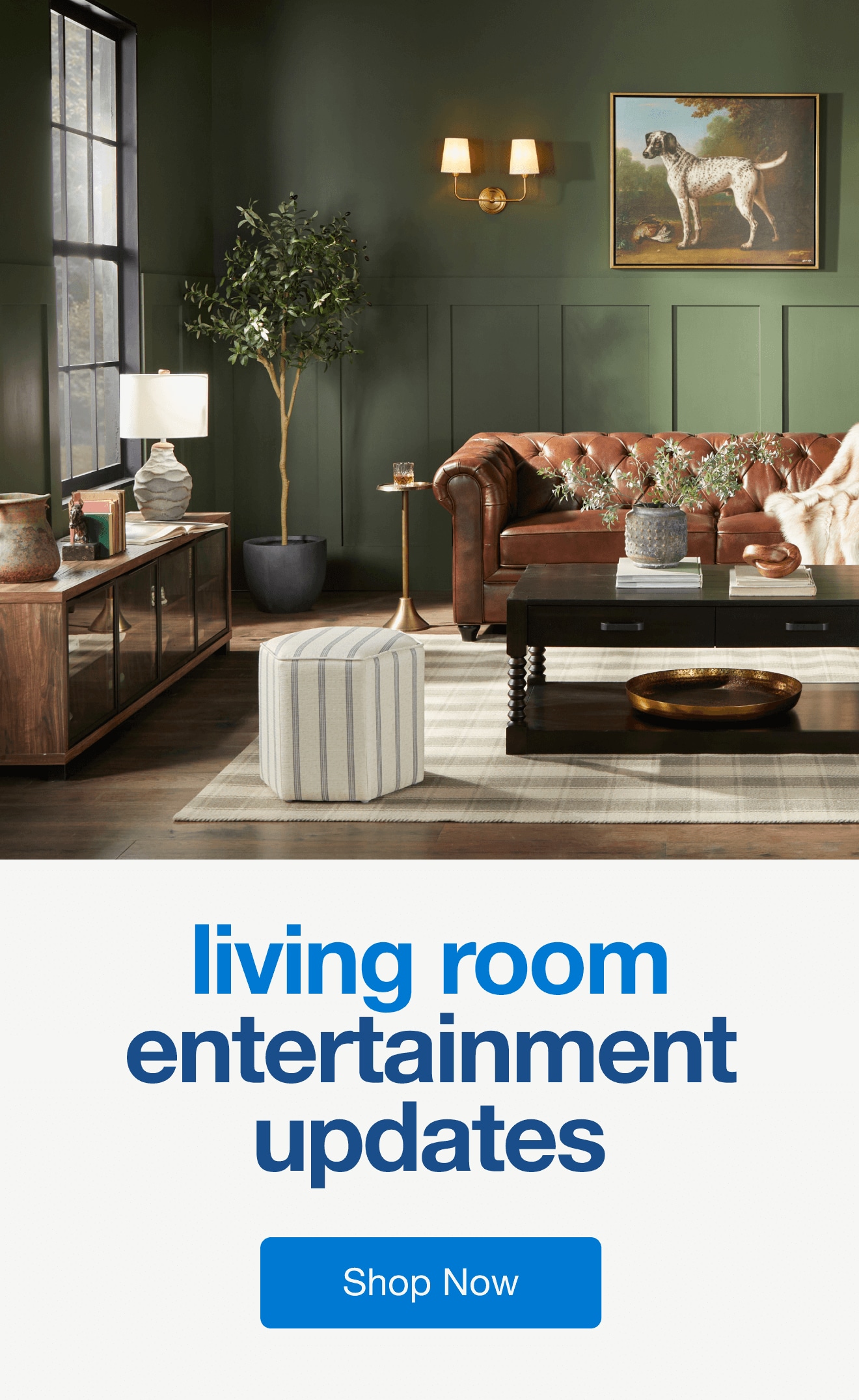 Living Room Entertainment — Shop Now!