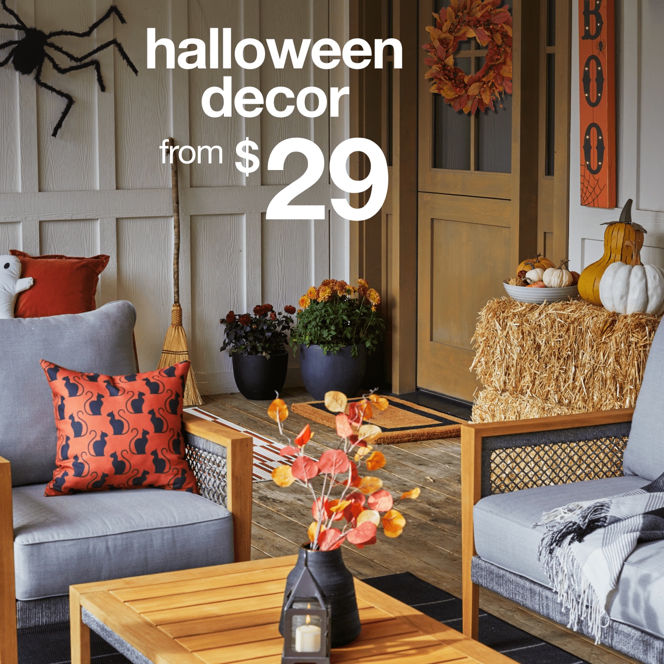 Halloween Decor — Shop Now!