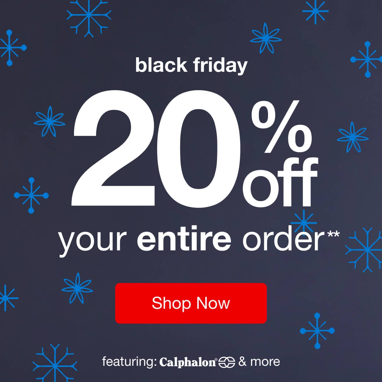 Black Friday 20% Off** Your Entire Order — Shop Now!