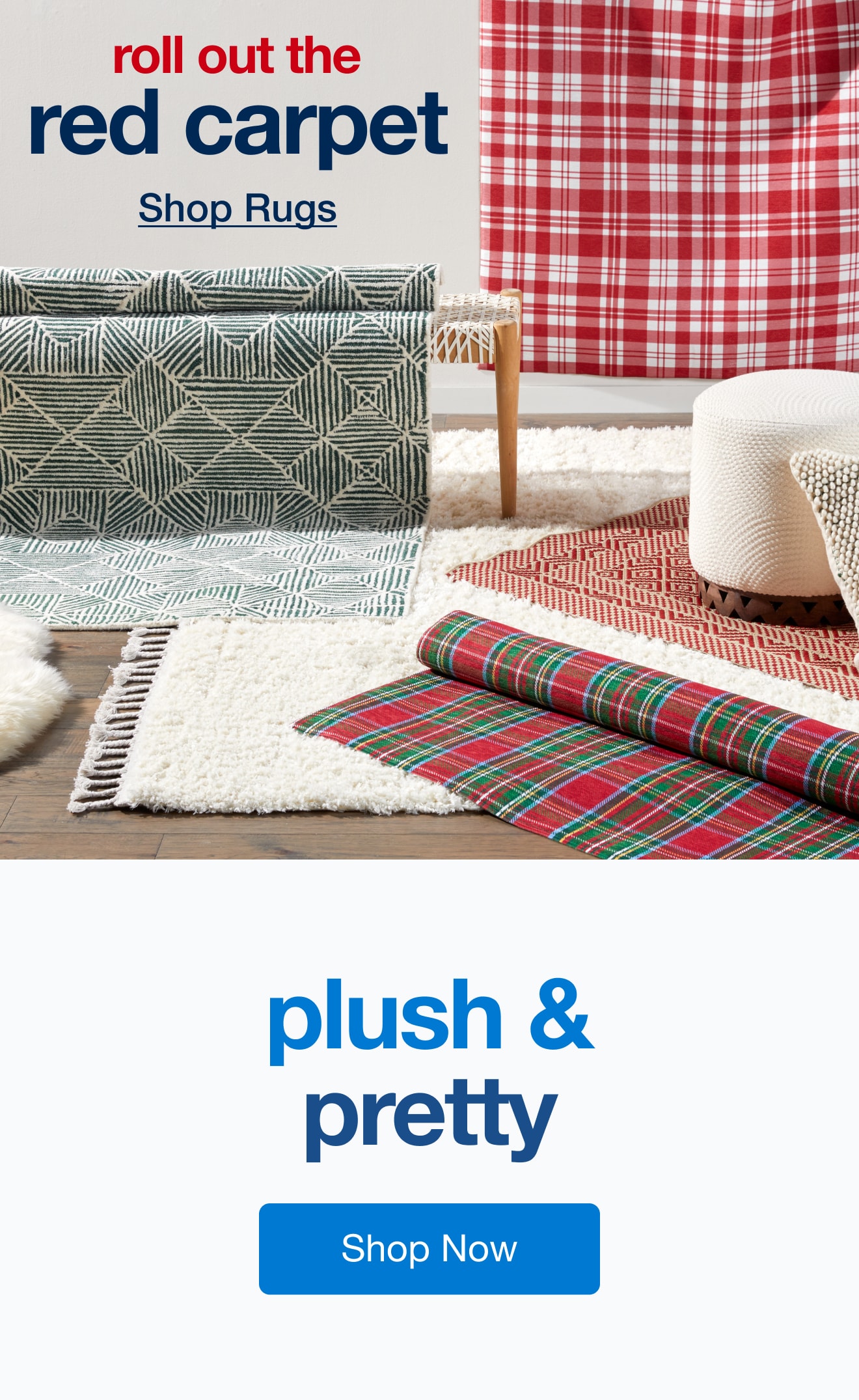 Guest-Ready Rugs — Shop Now!