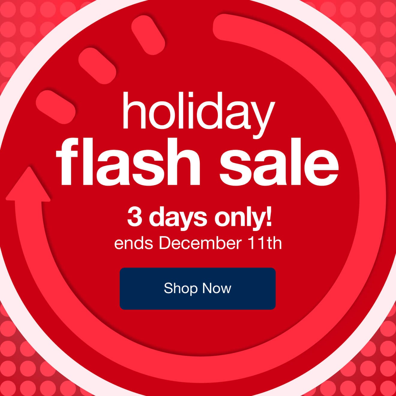 Holiday Flash Sale