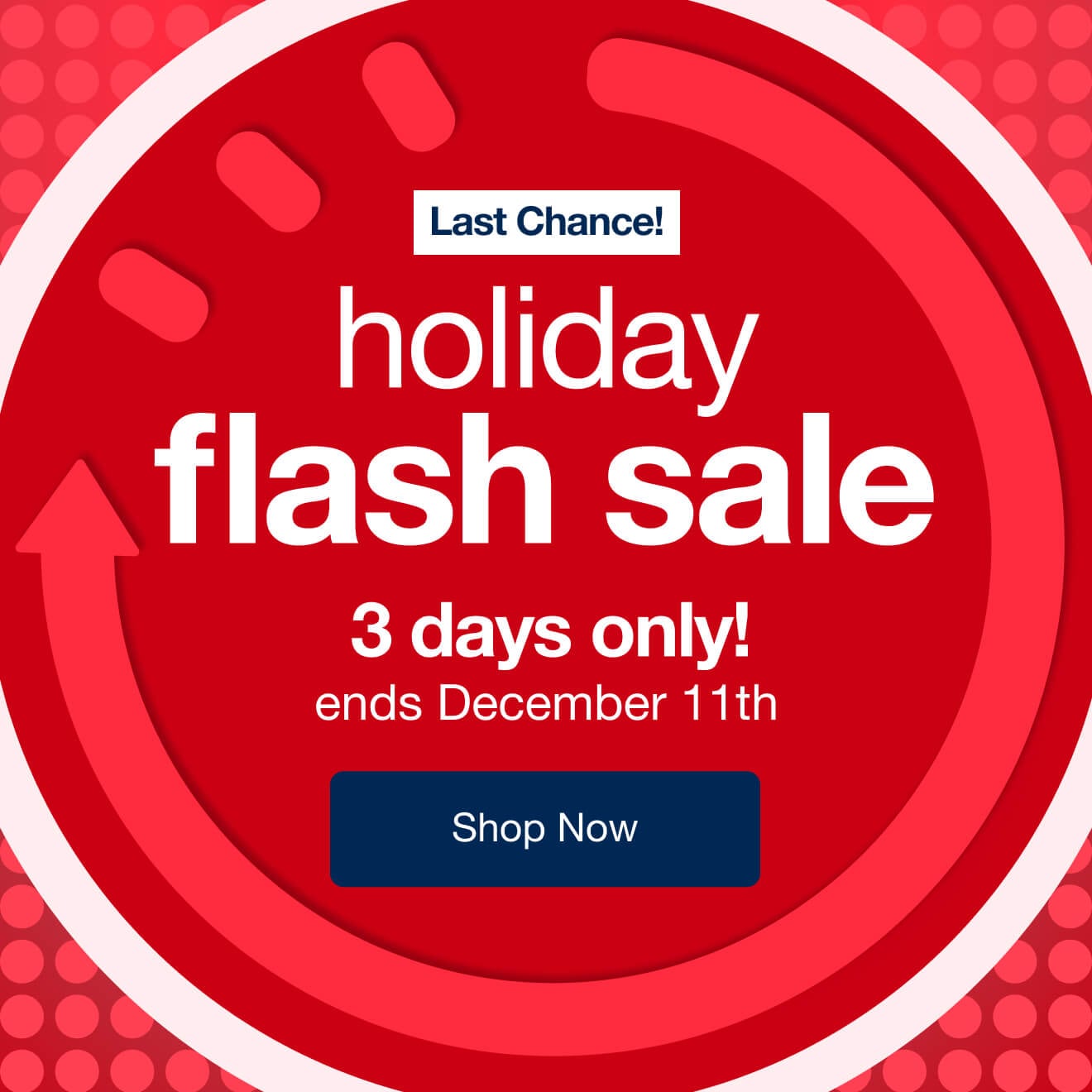 Holiday Flash Sale