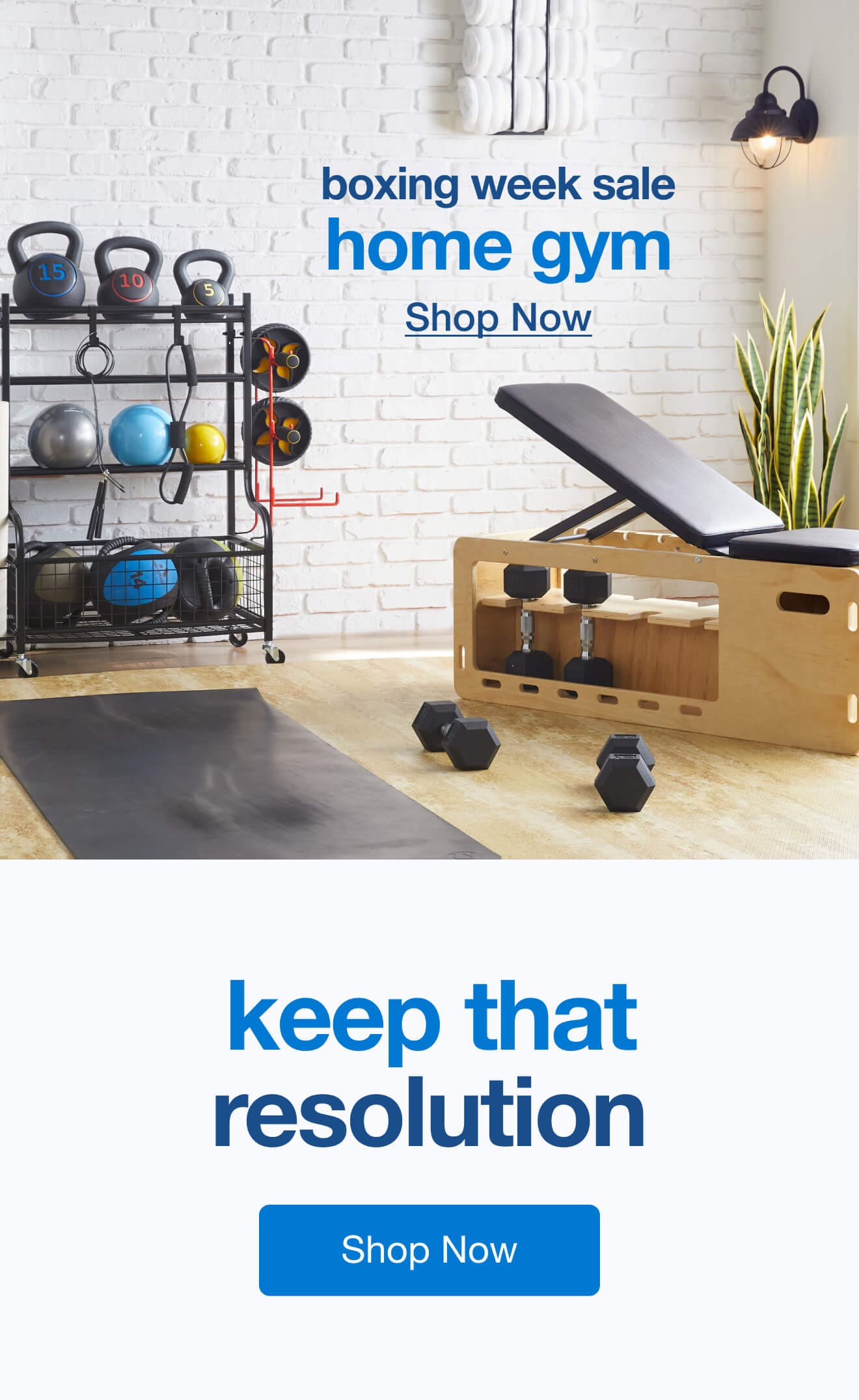 boxing week sale home gym