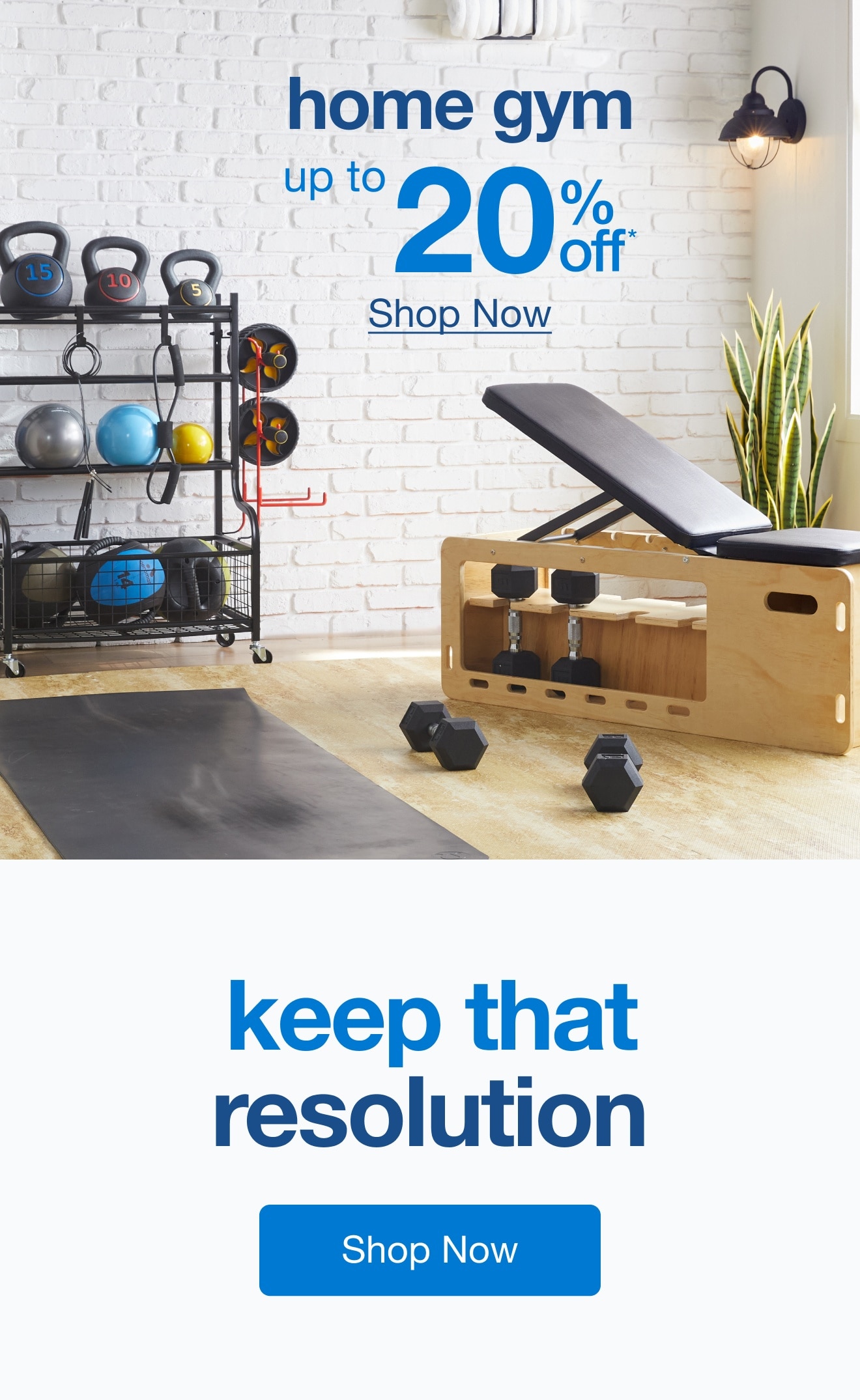 Up to 20% Off Your Dream Home Gym — Shop Now!
