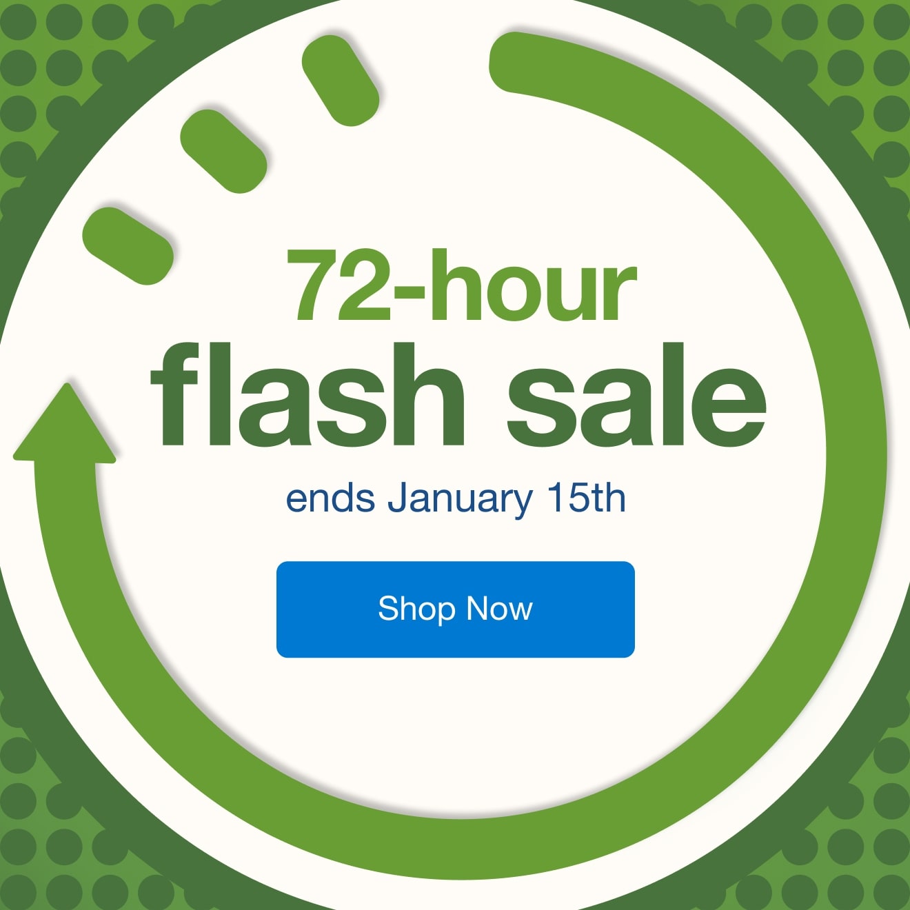 72 hour flash sale