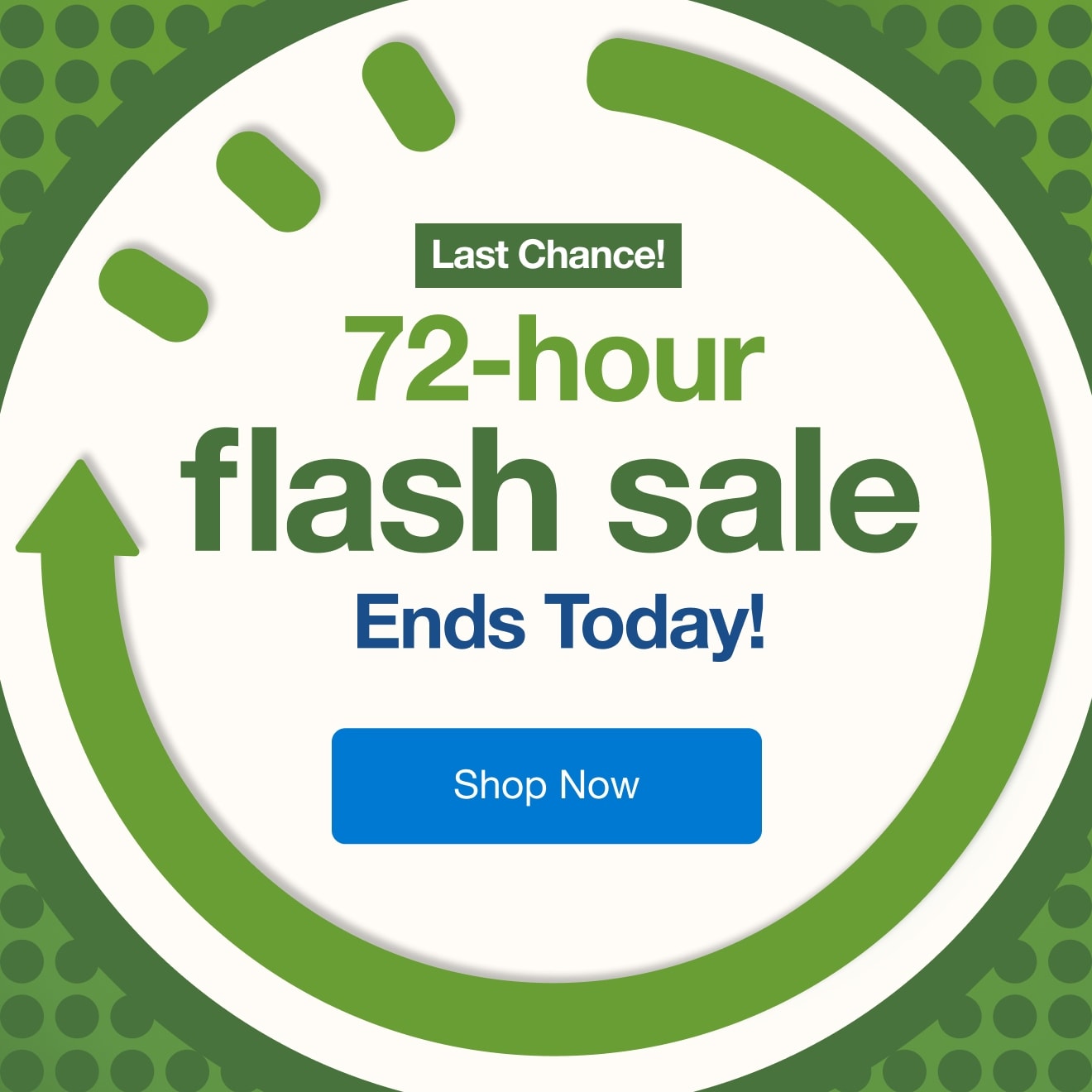 Flash Sale — Shop Now!