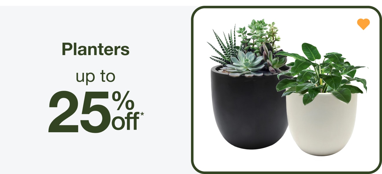 Up to 25% Off Planters — Shop Now!