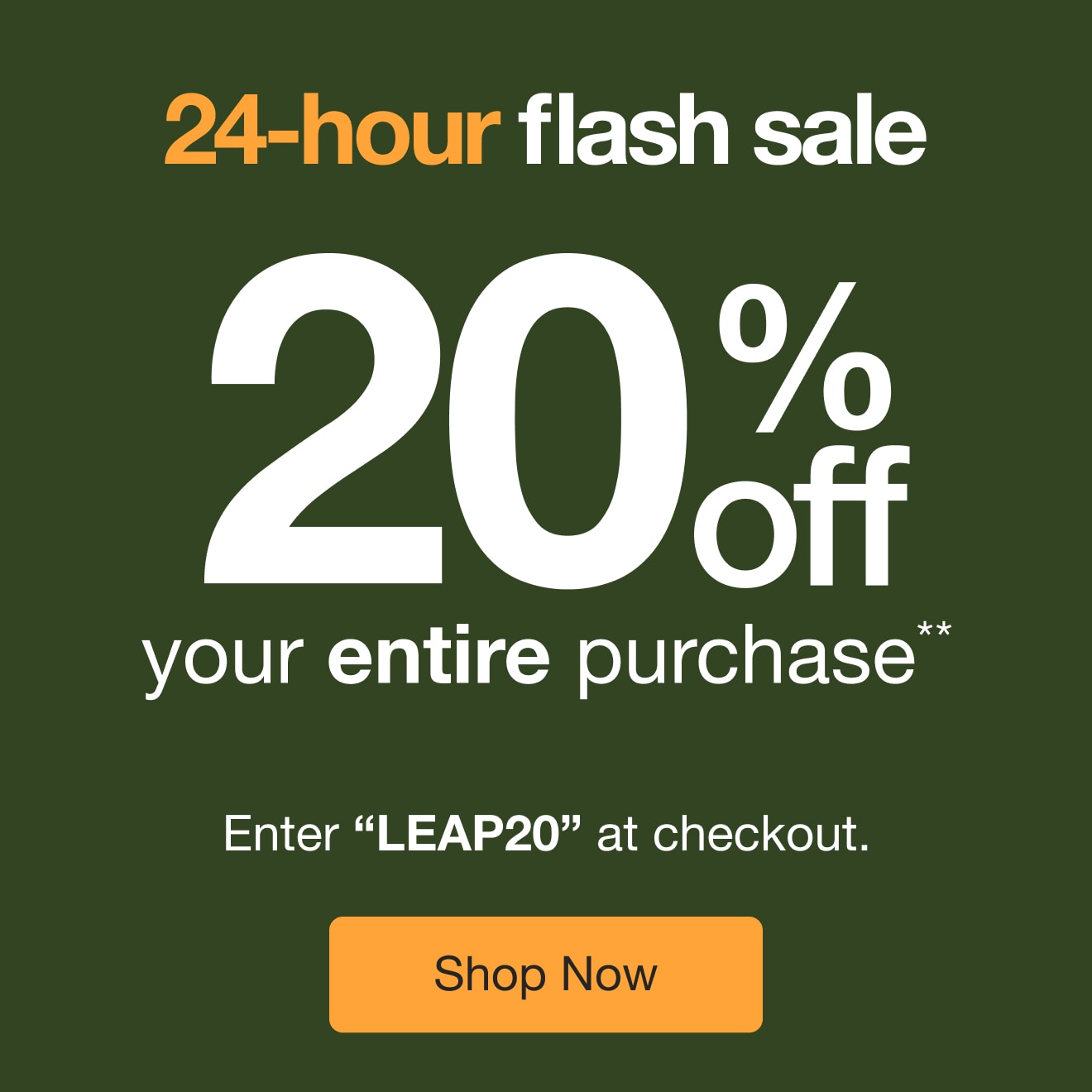 24 hour flash sale