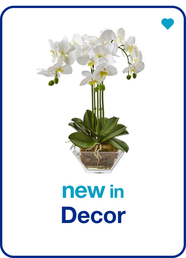 New in Décor — Shop Now!