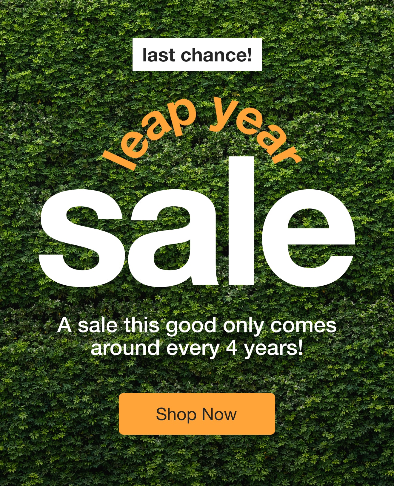 leap year sale