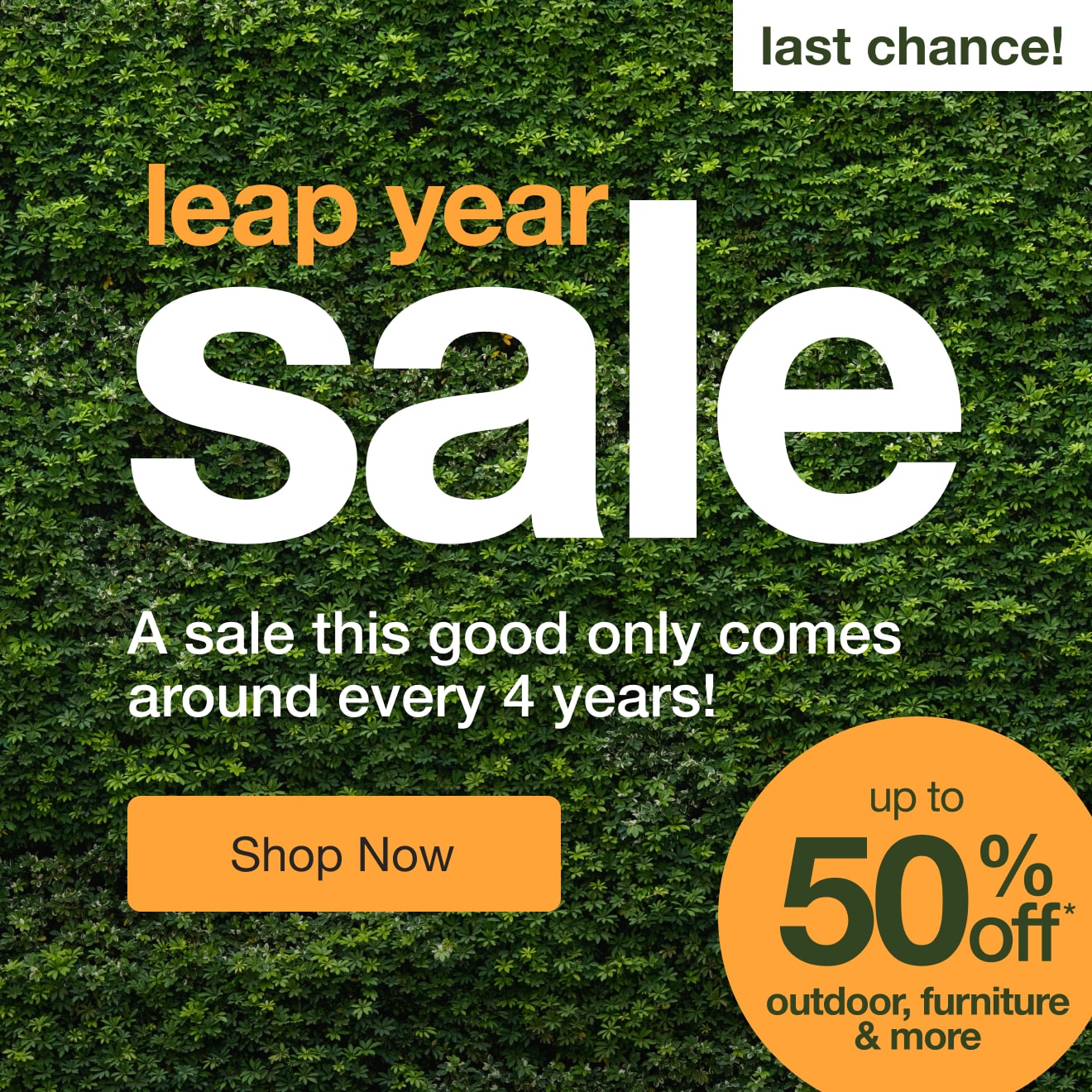 Leap Year Sale — Shop Now!