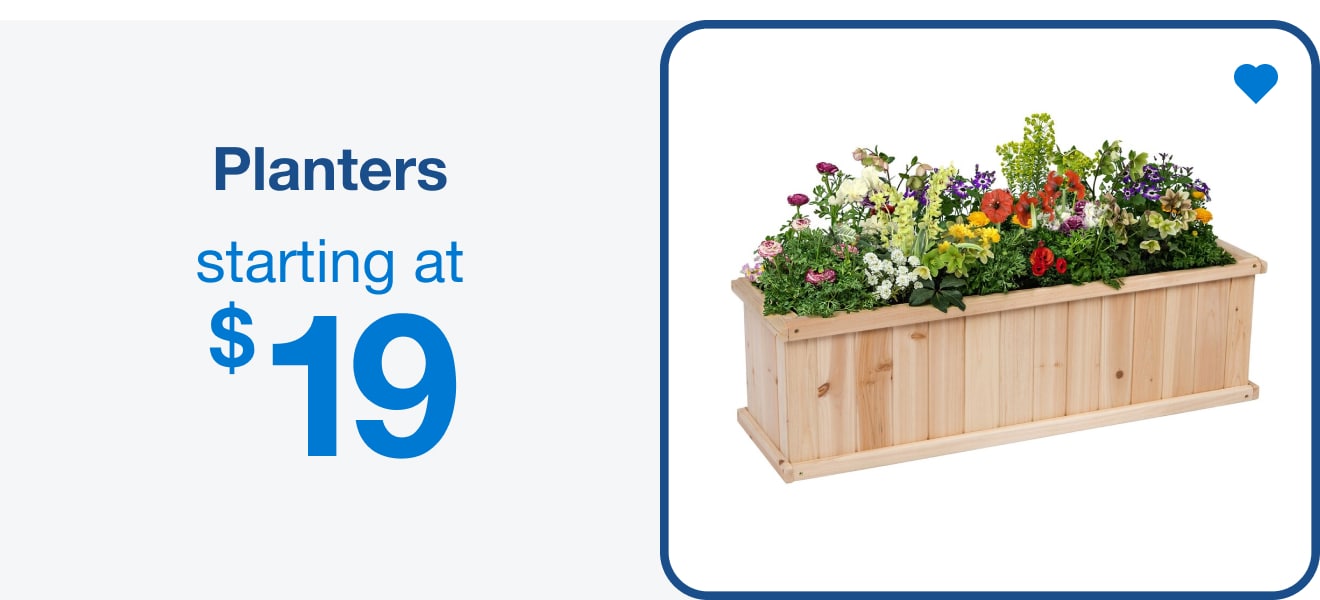 Planters Starting at $19 — Shop Now!