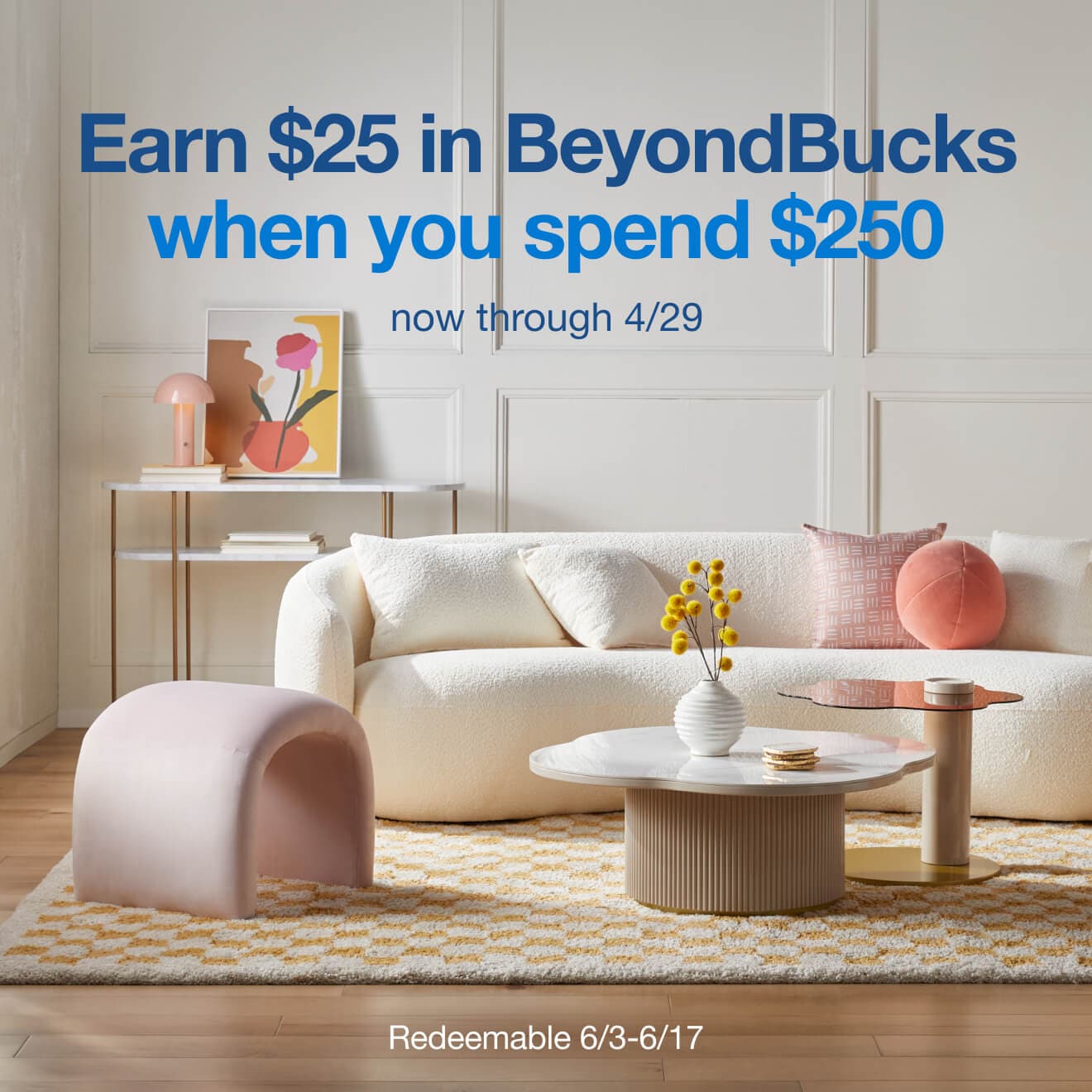 Spend $250 get $25 - Learn More