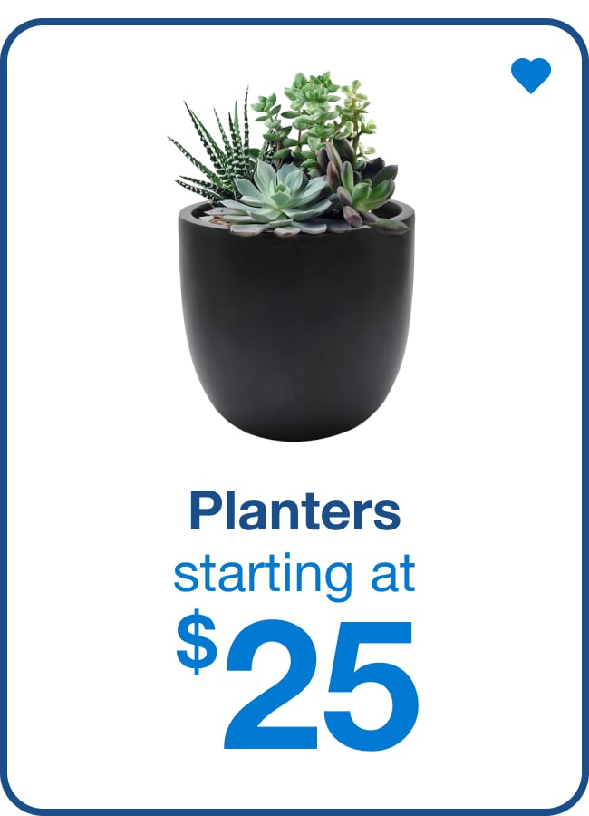 Planters Starting at $25 — Shop Now