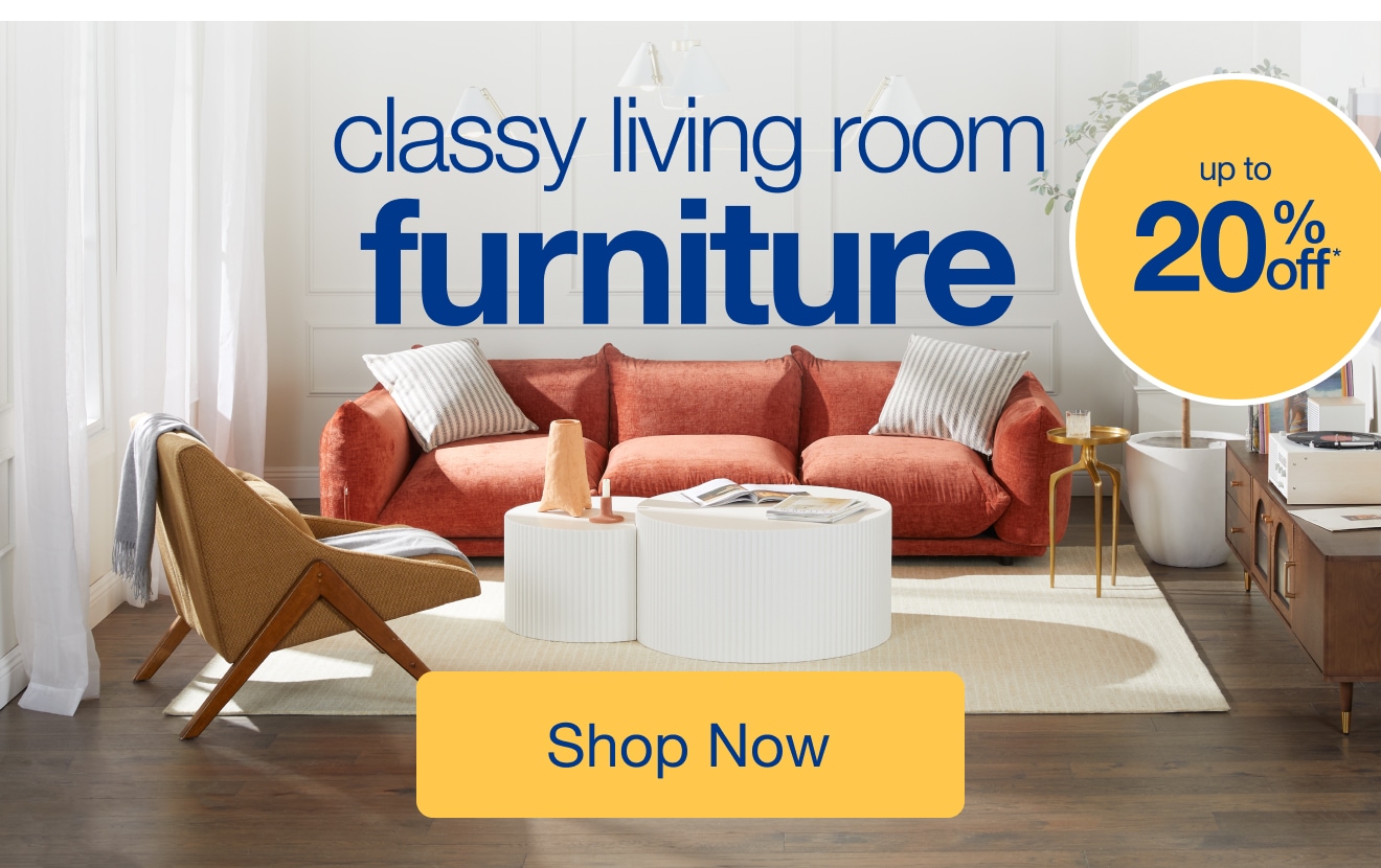 classy living room furniture