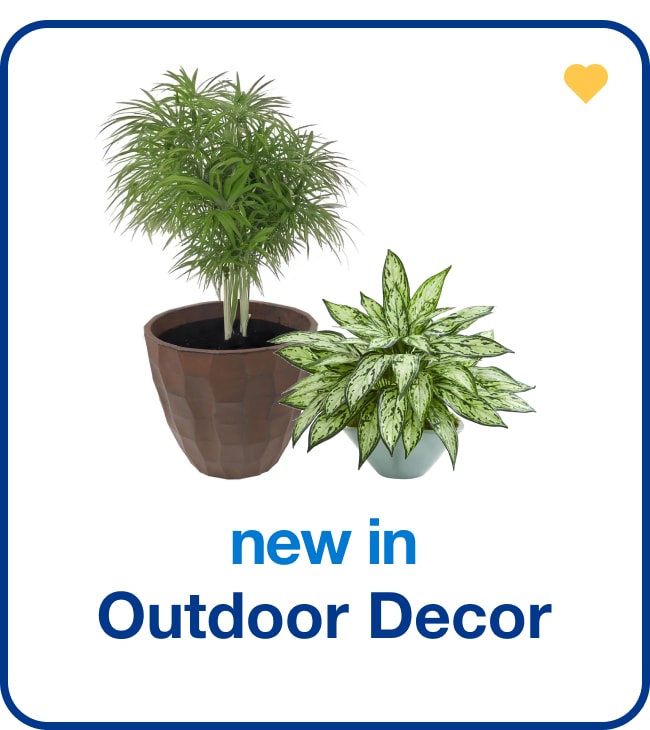 New in Outdoor Decor - Shop Now!