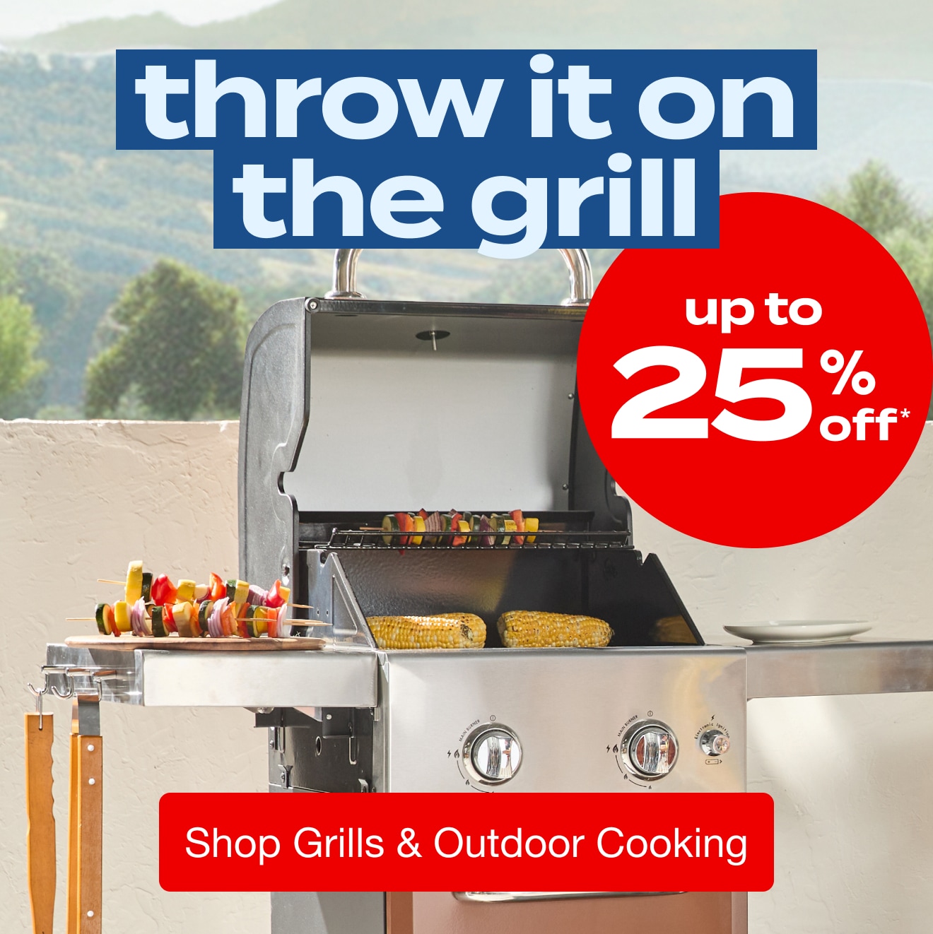 Grills & Outdoor Cooking