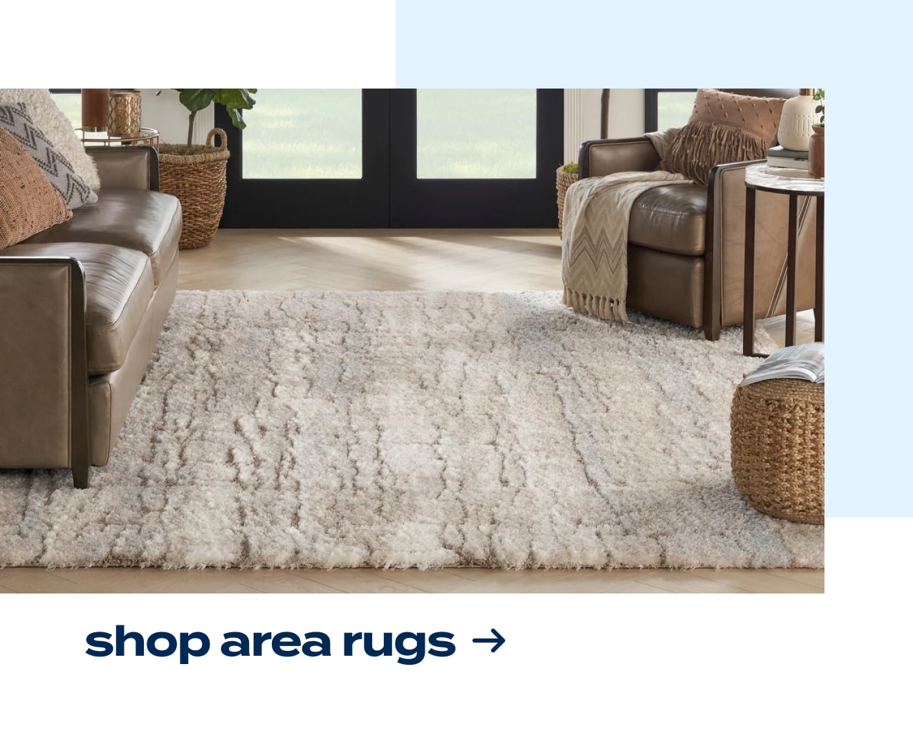 Shop Area Rugs