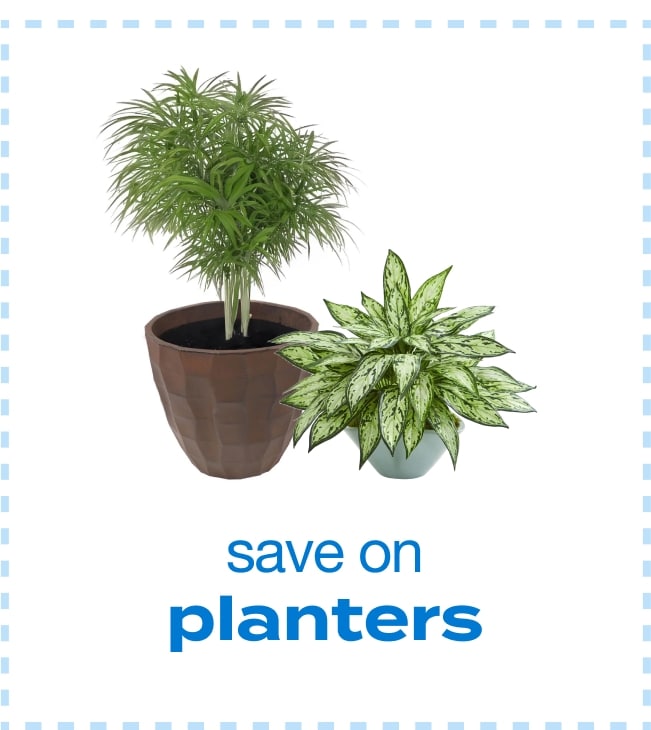 Save on Planters