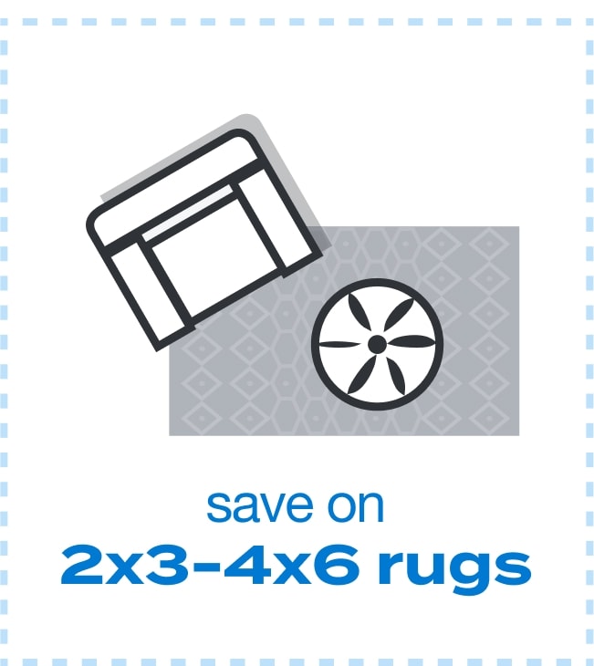 Save on 2x3 to 4x6 Area Rugs