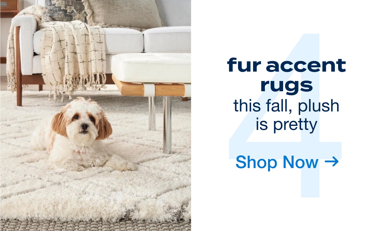 Shop Fur Accent Rugs