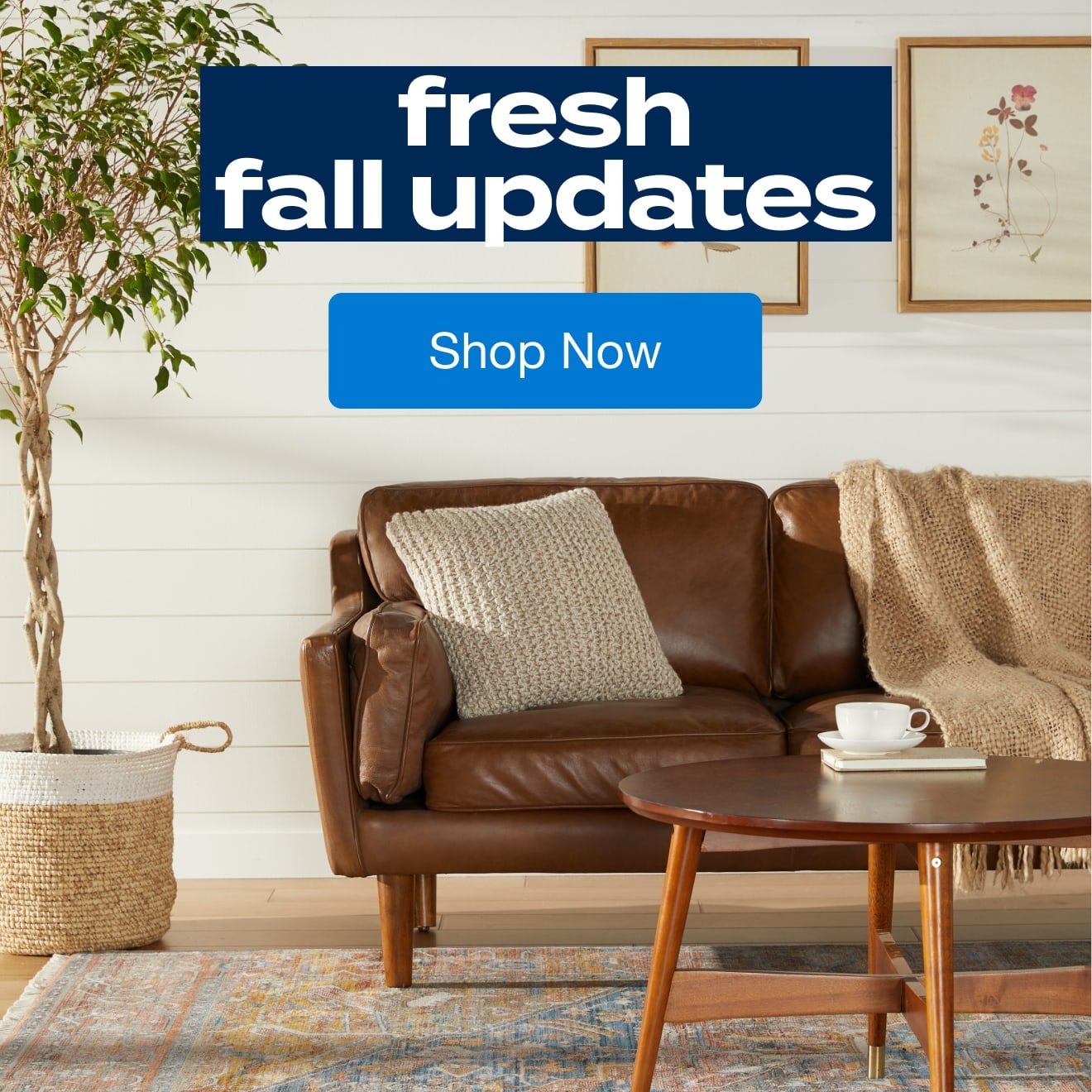 Transform Your Home for Fall