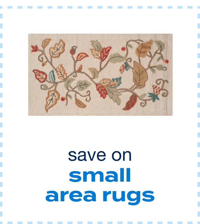 Small Area Rug 2x3 - 4x6