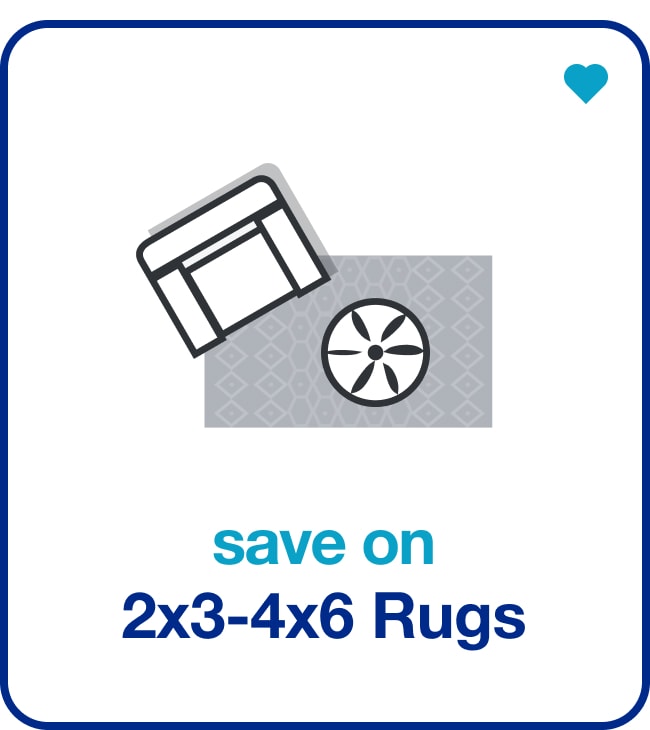 2x3-4x6 Rugs — Shop Now!