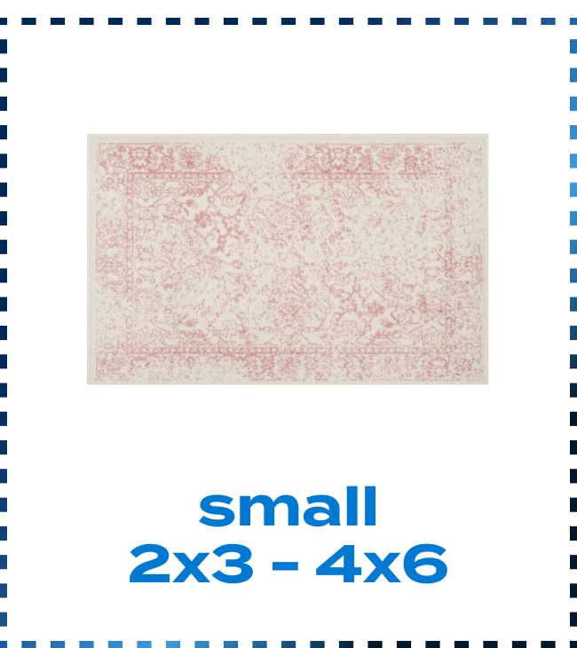 Small Area Rug 2x3 - 4x6