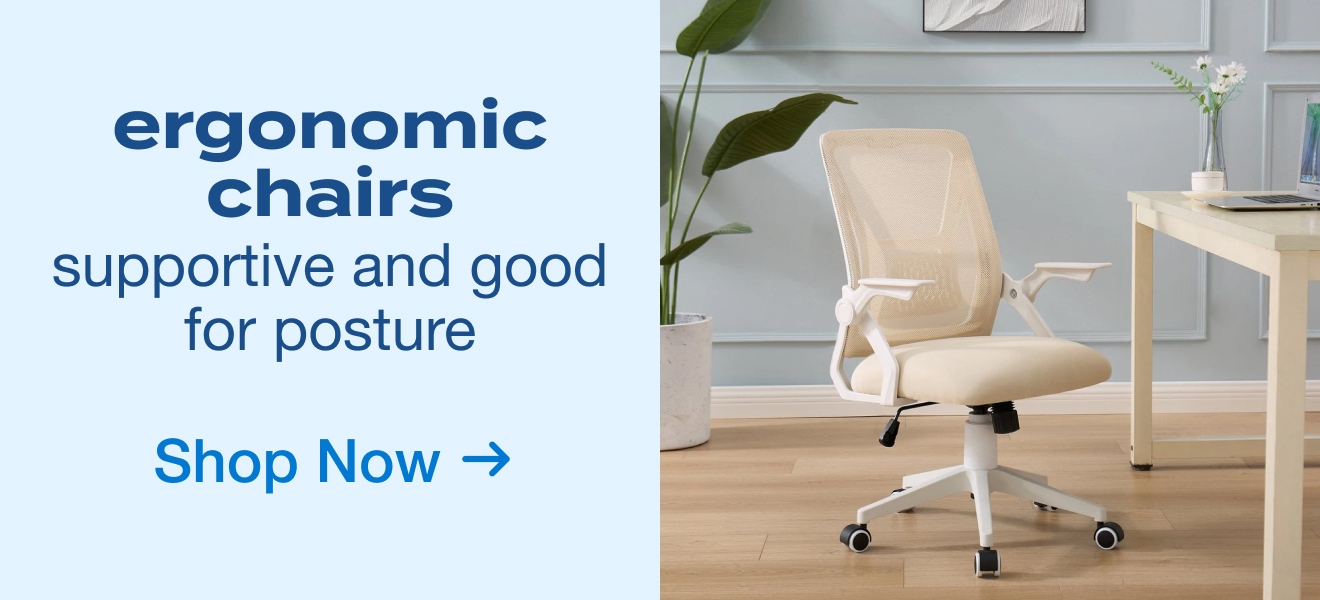 Ergonomic Chairs 