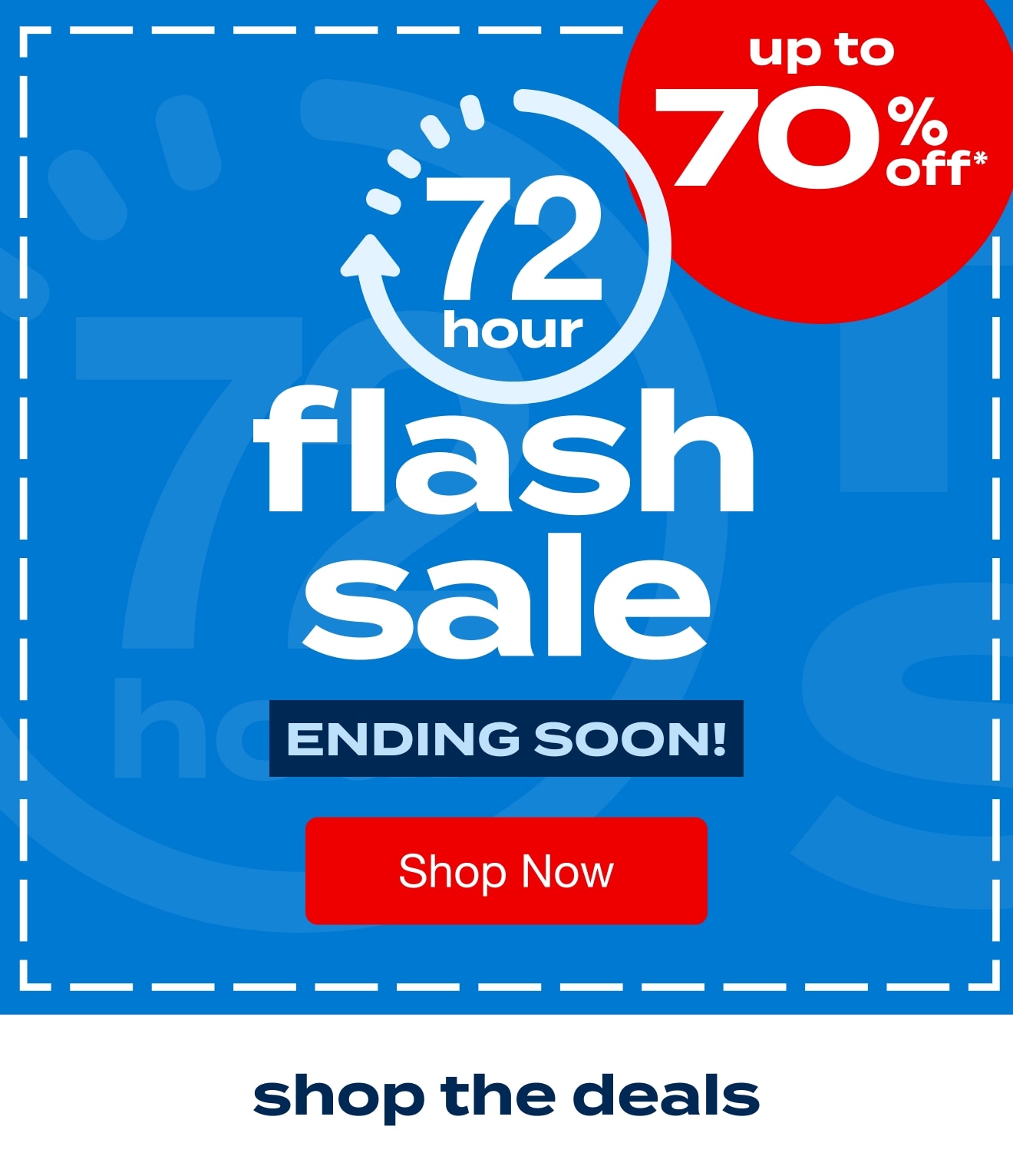 72 Hour Flash Sale 