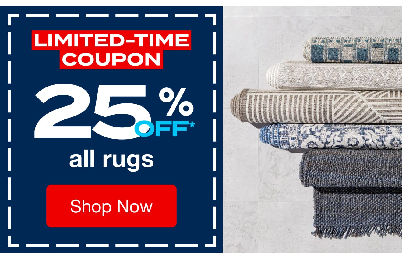 Rugs 25% Off Banner