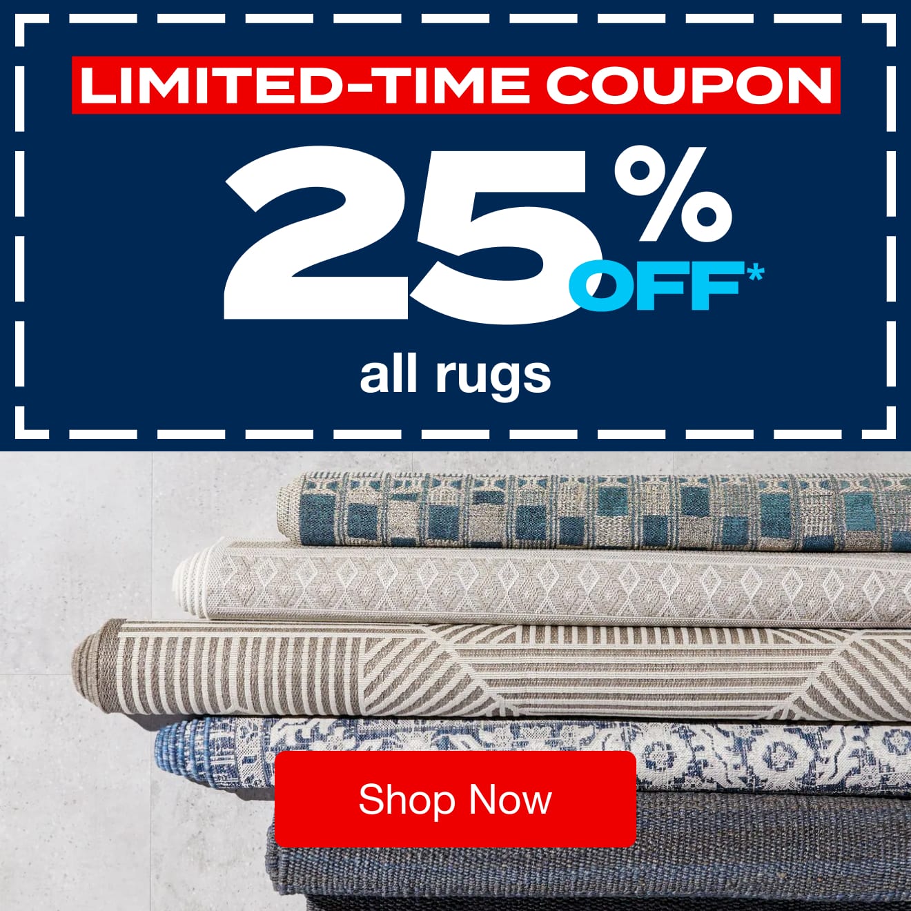 Save on Rugs with 25% Off