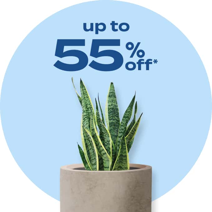 up to 55% off*
