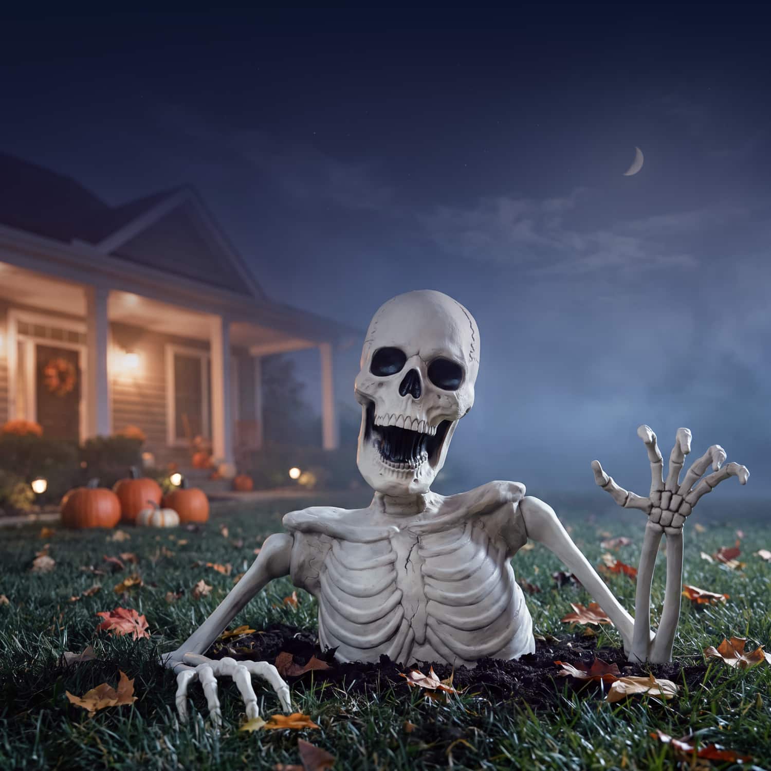 The Bone Yard. Skeletons, skulls & spooky finds. Save Now.