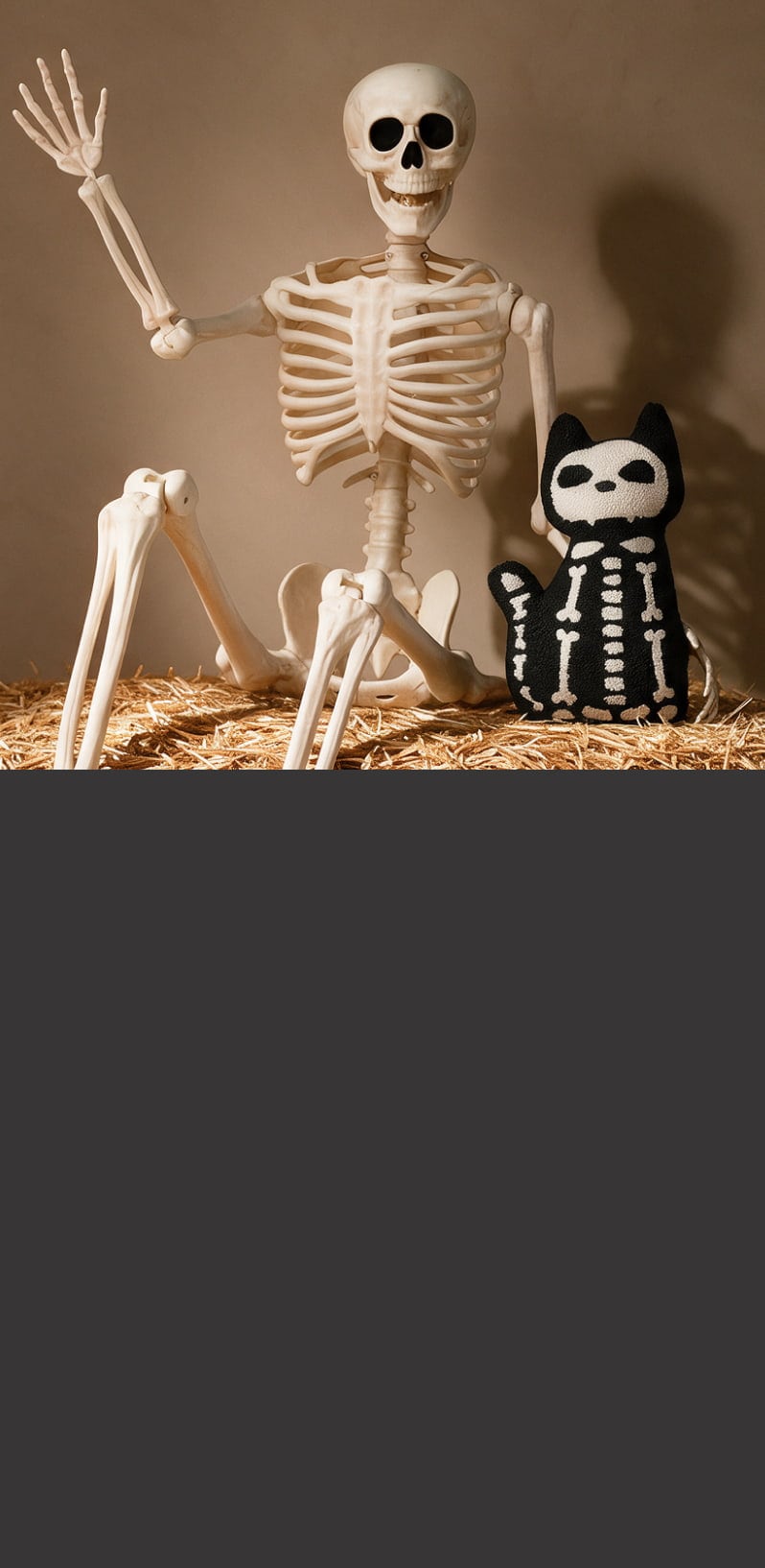 The skeleton crew. Bone-chilling markdowns on a halloween staple. Save Now.