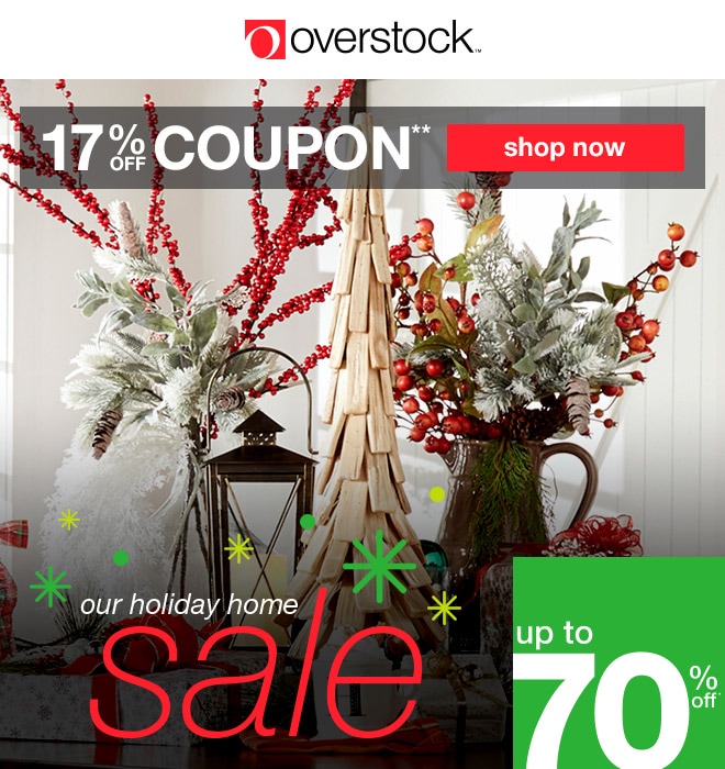 17% Coupon**