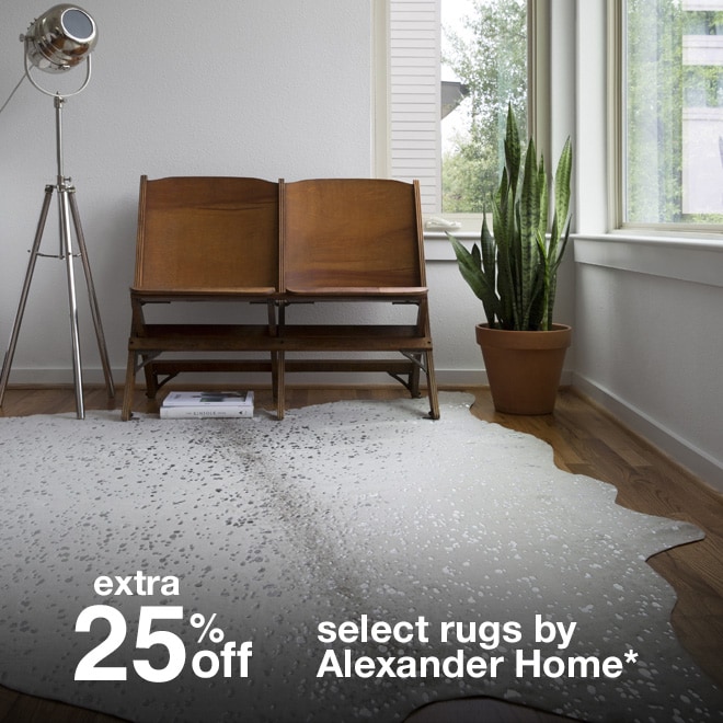 Extra 25% off Select Area Rugs by Alexander Home*