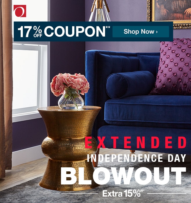 17% Coupon**