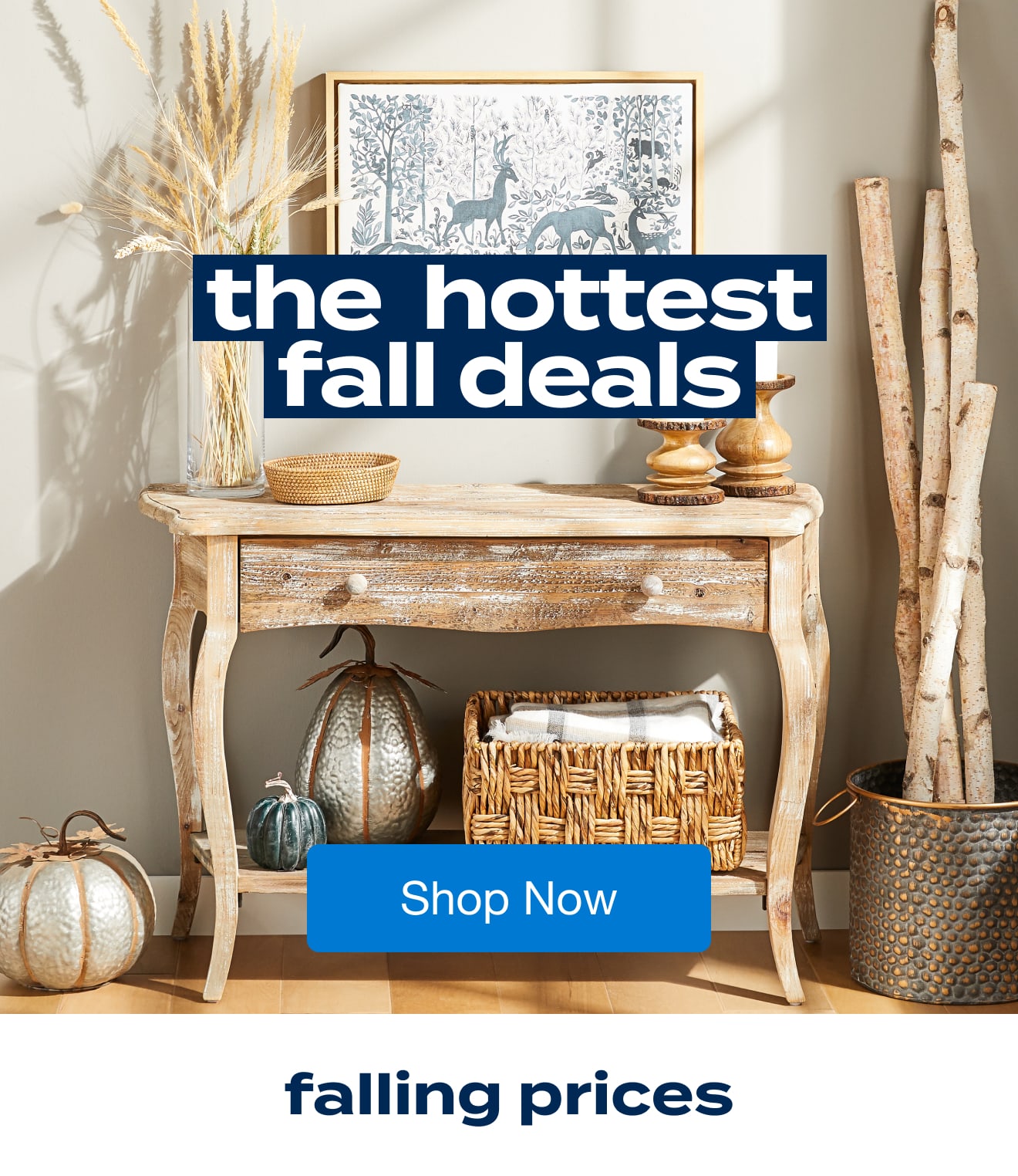 the hottest fall deals