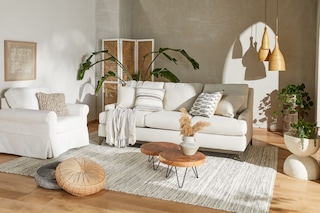 Living Room Guides