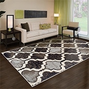 Buy Area Rugs Online At Overstock Our Best Rugs Deals